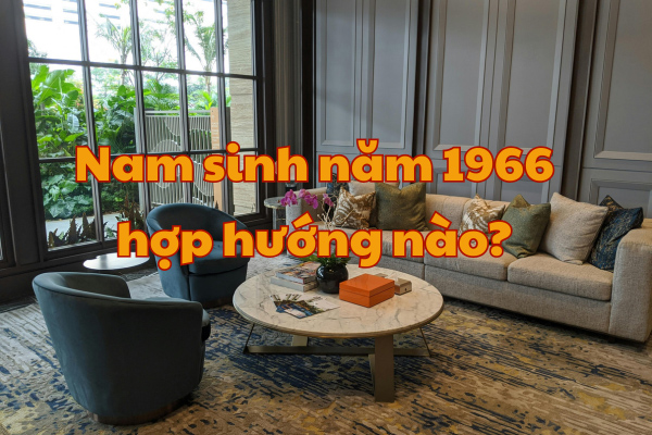 Nam sinh năm 1966 hợp hướng nào?
