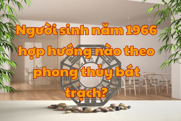 Người sinh năm 1966 hợp hướng nào theo phong thủy bát trạch?