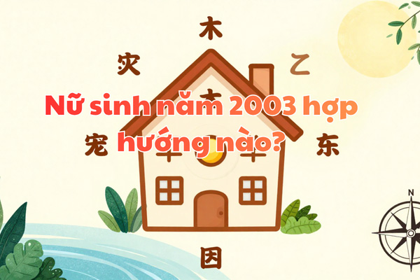 Nữ sinh năm 2003 hợp hướng nào?